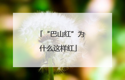 “巴山红”为什么这样红